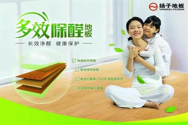 揚子地板榮獲多效除醛實木復(fù)合地板高新技術(shù)產(chǎn)品認證.jpg