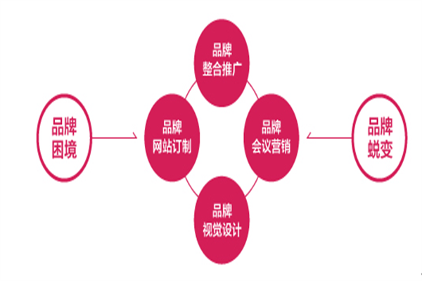 網(wǎng)絡“視頻營銷”—品牌營銷的新寵