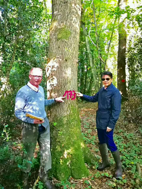 大自然木門成為《設(shè)計夢想家》唯一指定木門類合作品牌！