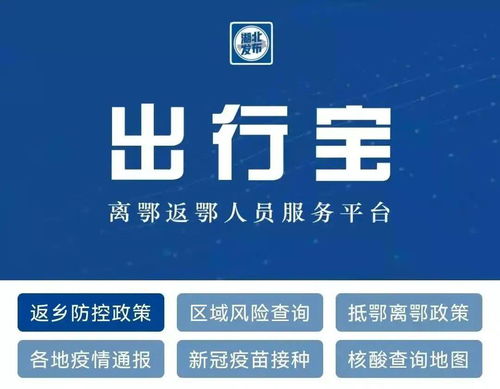 孝感人春節(jié)返鄉(xiāng)政策一鍵查 服務(wù)器租賃如何保障查詢穩(wěn)定性與高效體驗(yàn)